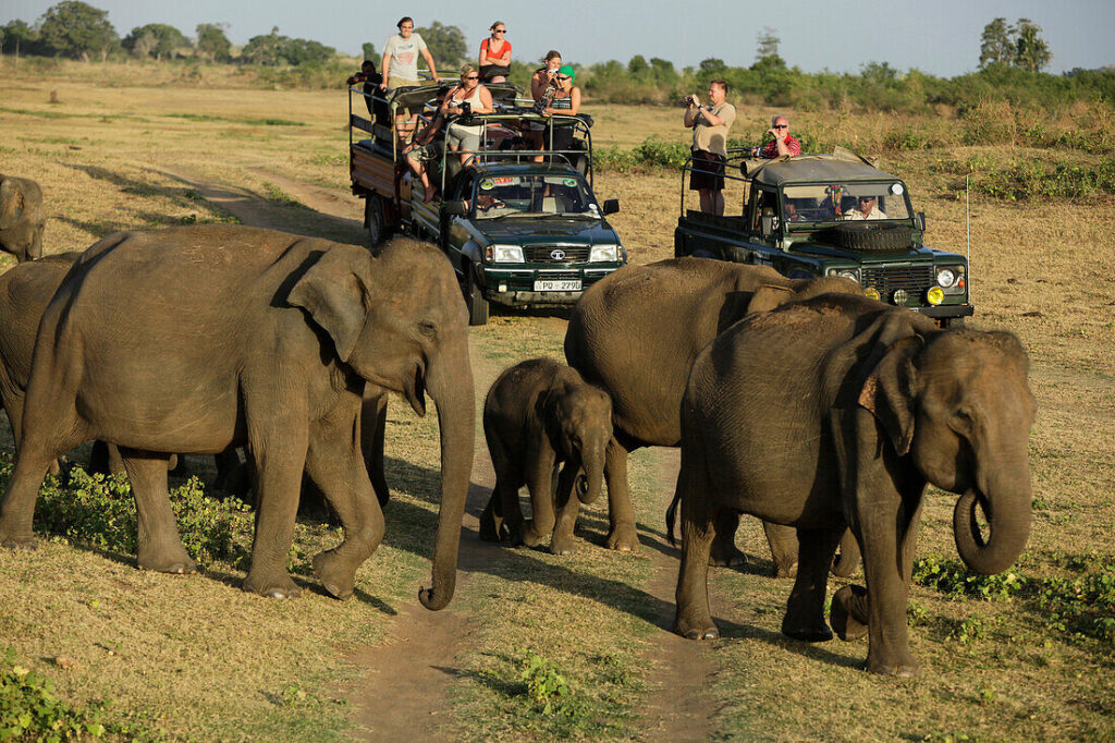 Safari in Udawalawe